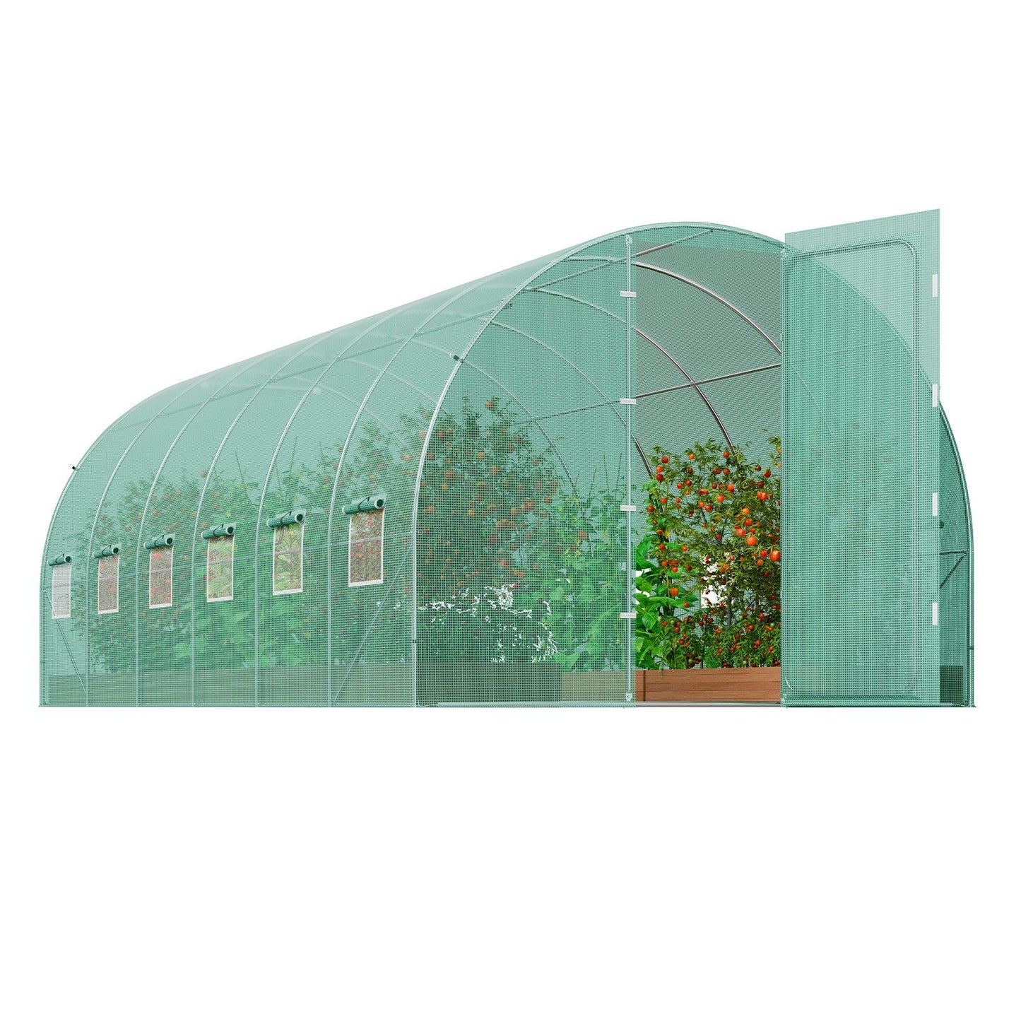 19.5' x 10' Tunnel Greenhouse, Heavy-Duty PE Cover & Galvanized Frame