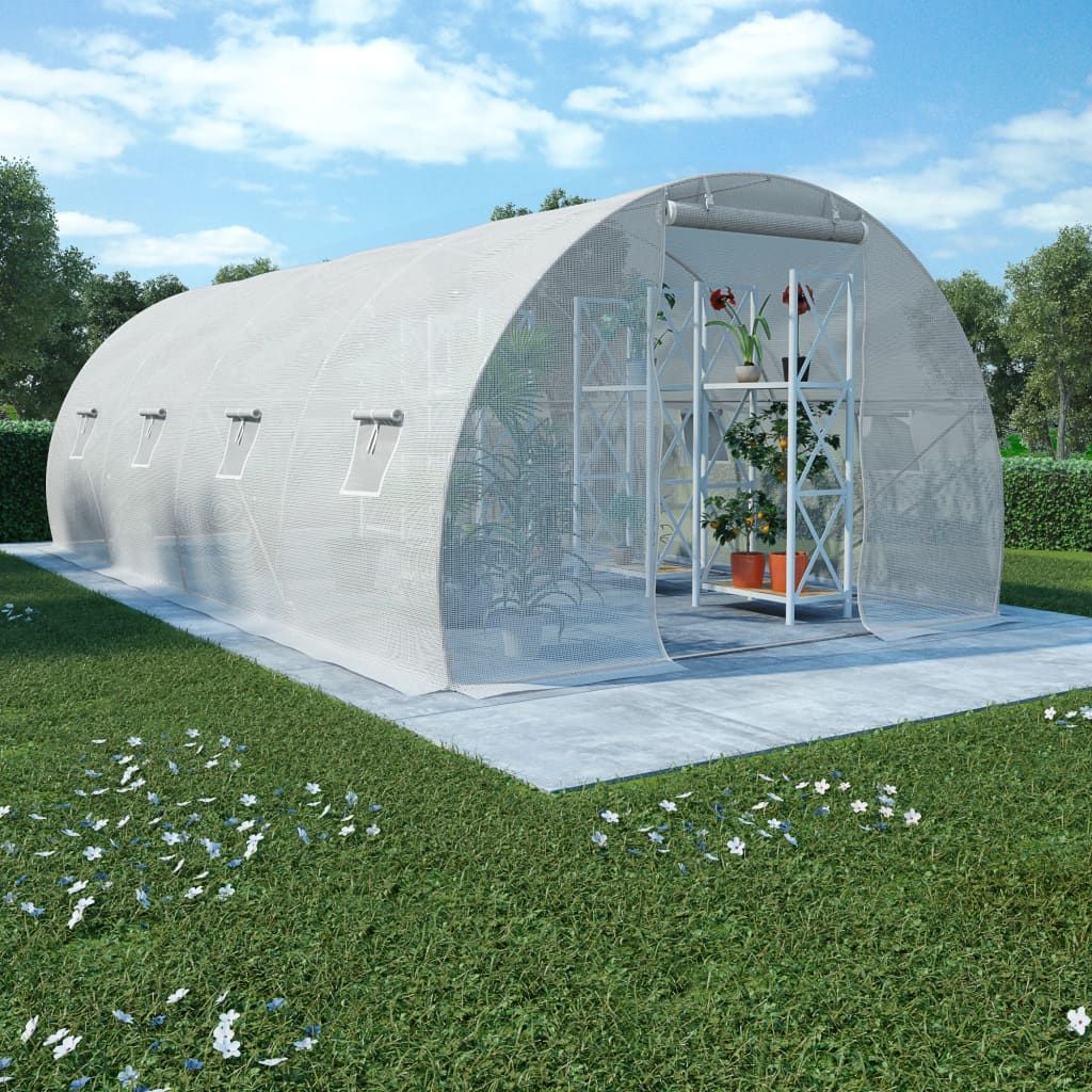 20' x 10' Greenhouse, Heavy-Duty & Weatherproof Design