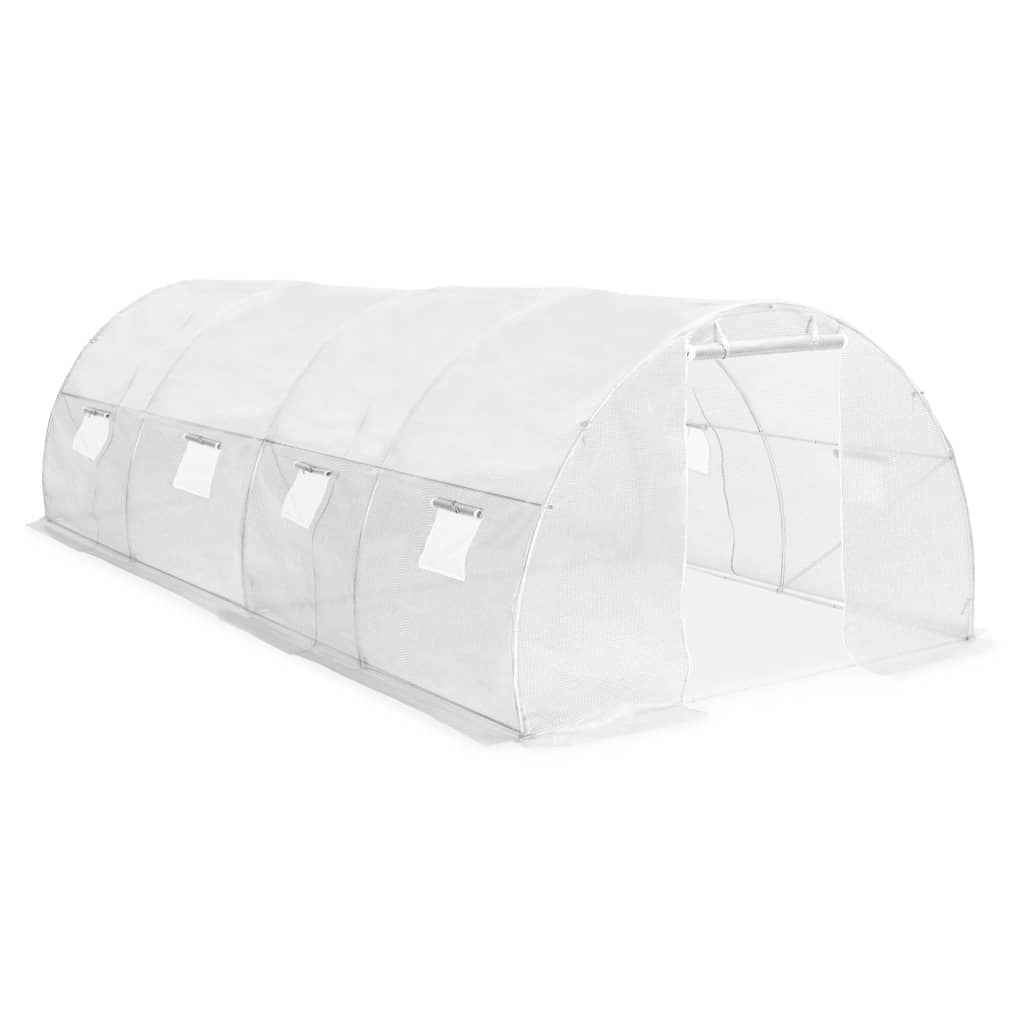 20' x 10' Greenhouse, Heavy-Duty & Weatherproof Design
