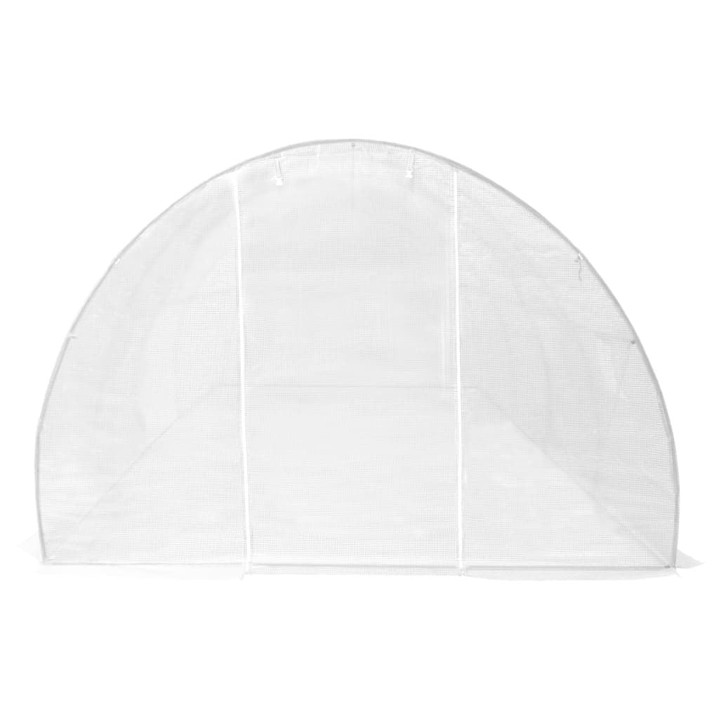 20' x 10' Greenhouse, Heavy-Duty & Weatherproof Design