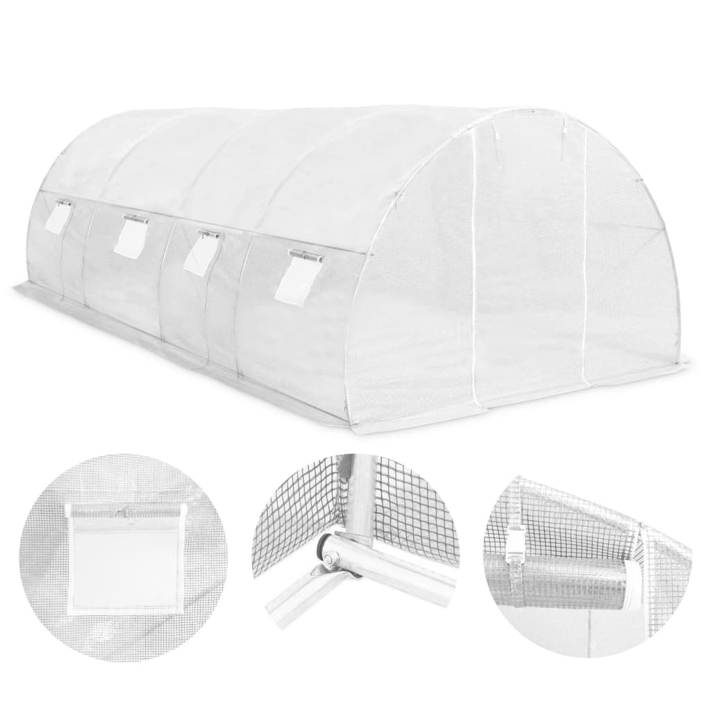 20' x 10' Greenhouse, Heavy-Duty & Weatherproof Design