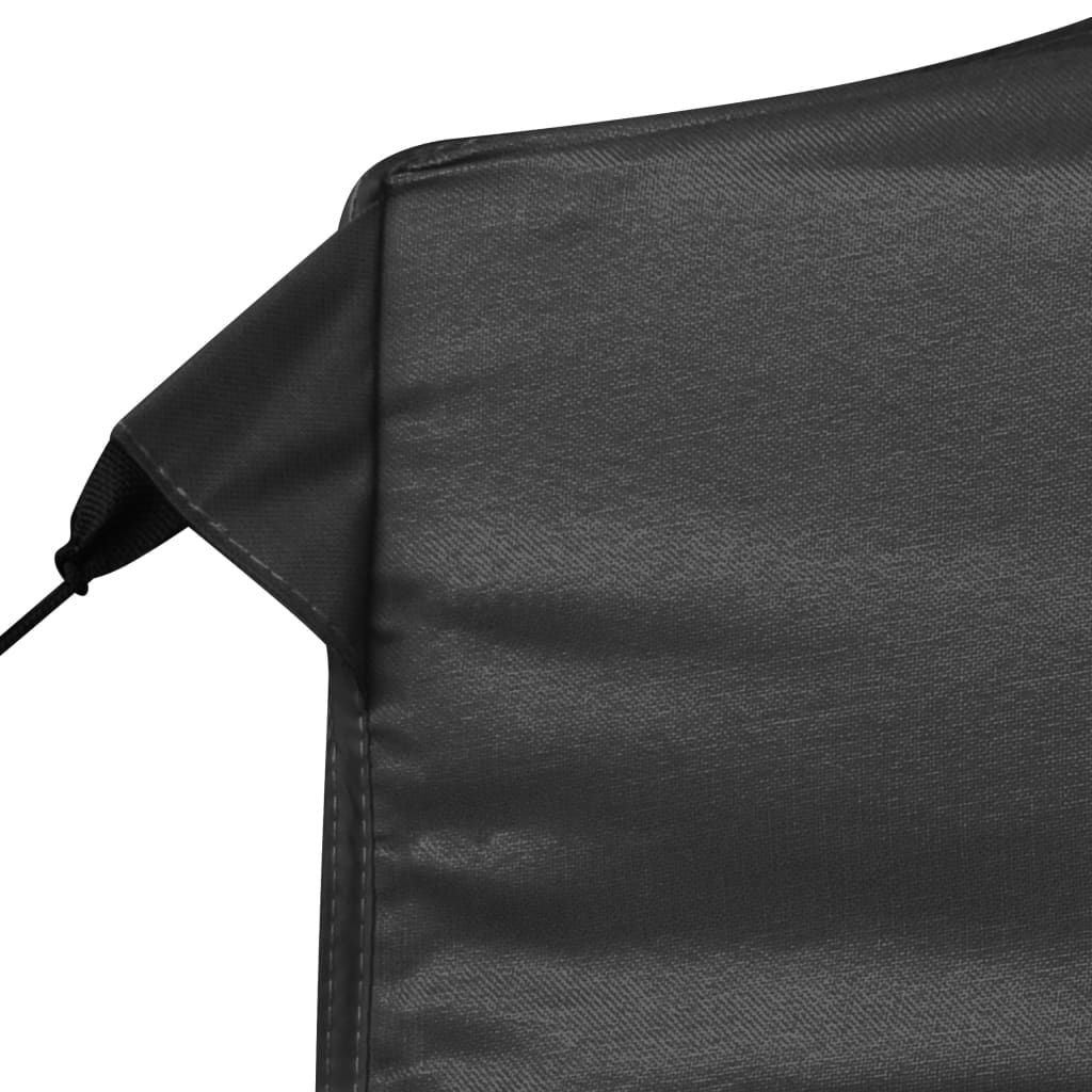 20'x10' Professional Folding Party Tent with Walls Aluminum, Anthracite