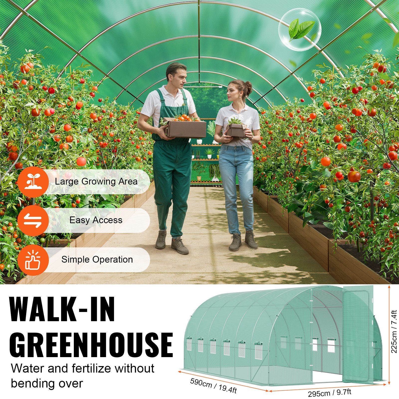 19.5' x 10' Tunnel Greenhouse, Heavy-Duty PE Cover & Galvanized Frame