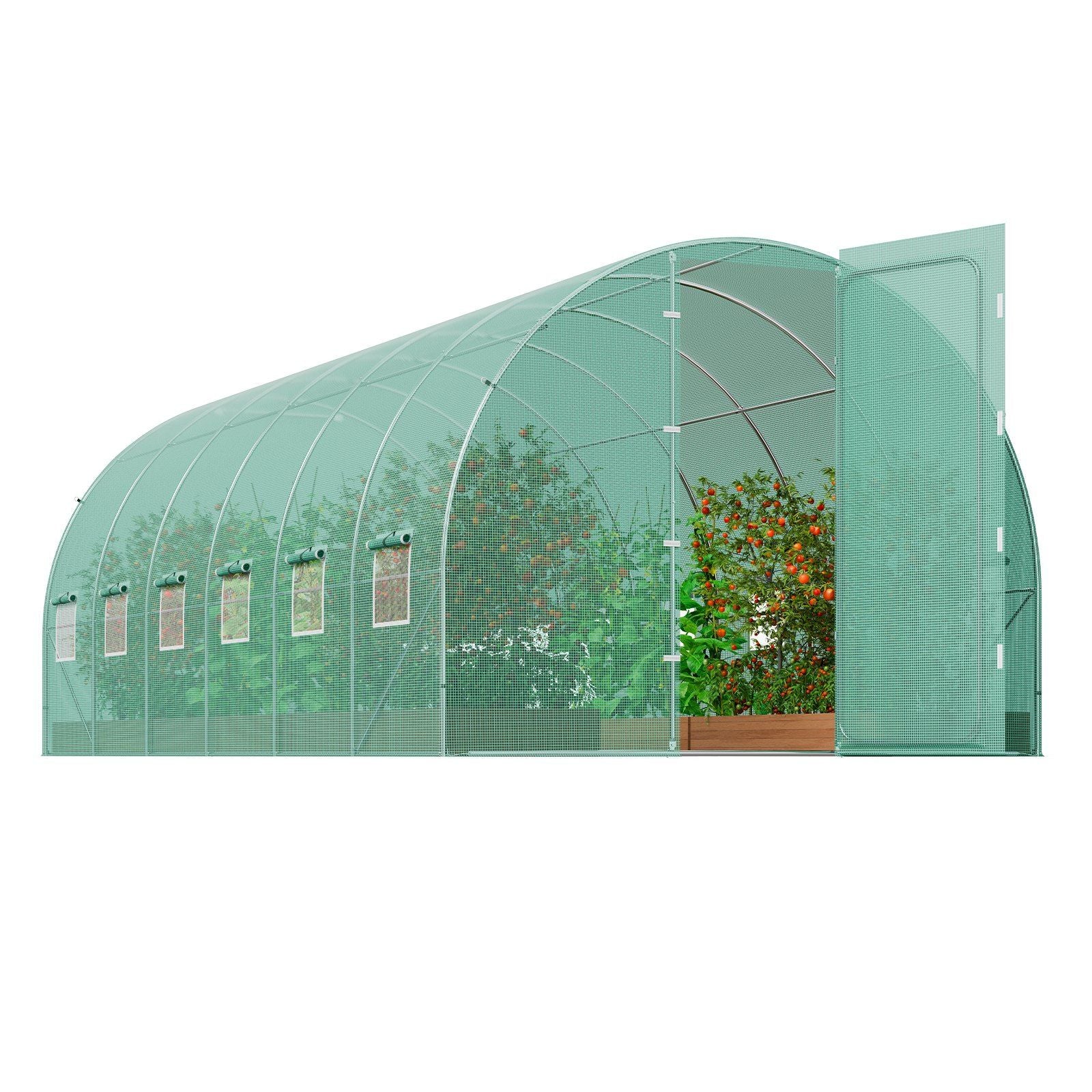 19.5' x 10' Tunnel Greenhouse, Heavy-Duty PE Cover & Galvanized Frame