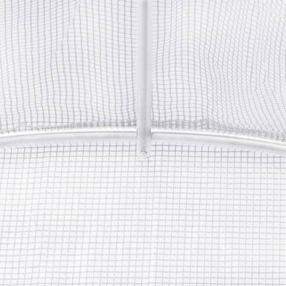 20' x 10' Greenhouse, Heavy-Duty & Weatherproof Design