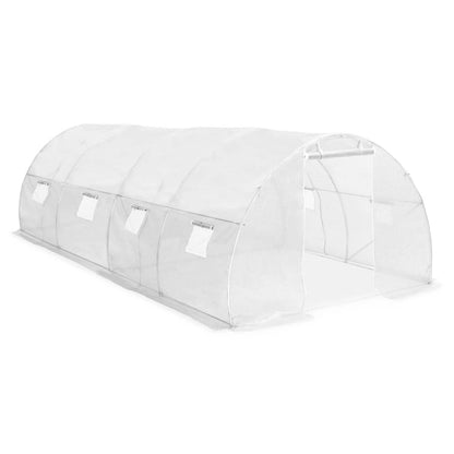 20' x 10' Greenhouse, Heavy-Duty & Weatherproof Design