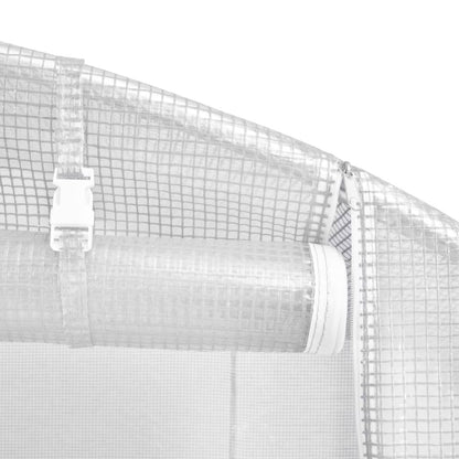20' x 10' Greenhouse, Heavy-Duty & Weatherproof Design