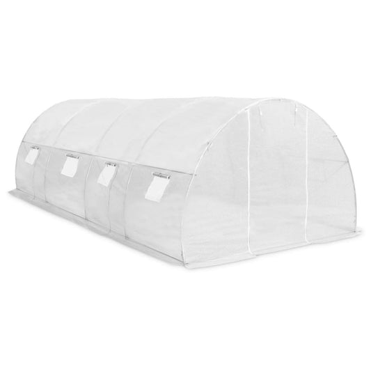 20' x 10' Greenhouse, Heavy-Duty & Weatherproof Design