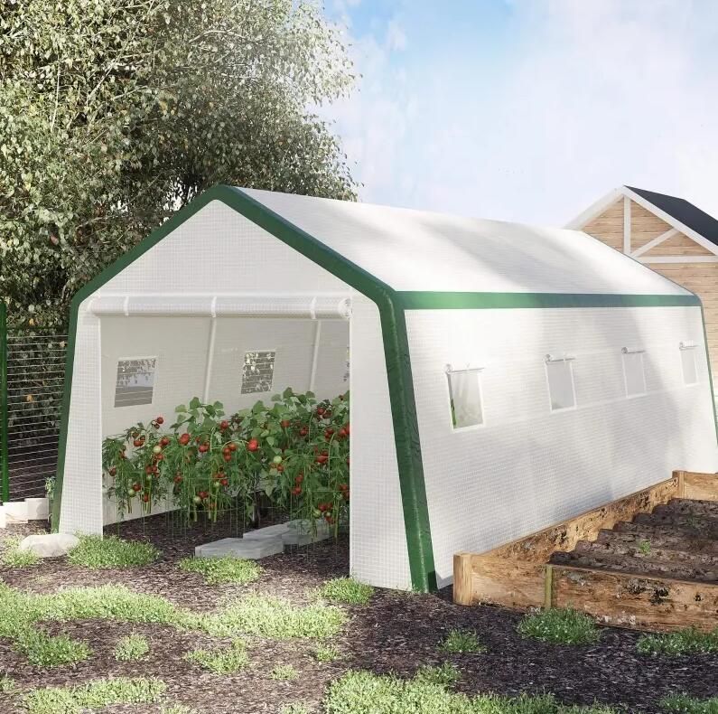 20' x 10' Greenhouse, Large Walk-In Design with Roll-Up Windows, Zippered Door, and UV-Resistant PE Cover
