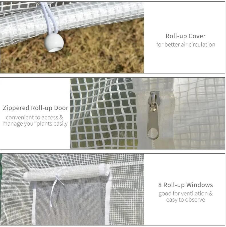 20' x 10' Greenhouse, Large Walk-In Design with Roll-Up Windows, Zippered Door, and UV-Resistant PE Cover