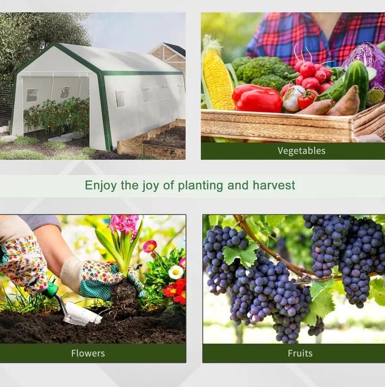 20' x 10' Greenhouse, Large Walk-In Design with Roll-Up Windows, Zippered Door, and UV-Resistant PE Cover