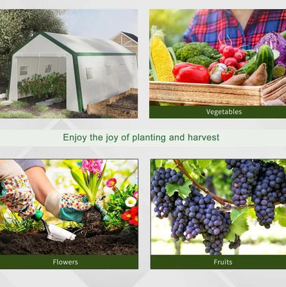 20' x 10' Greenhouse, Large Walk-In Design with Roll-Up Windows, Zippered Door, and UV-Resistant PE Cover