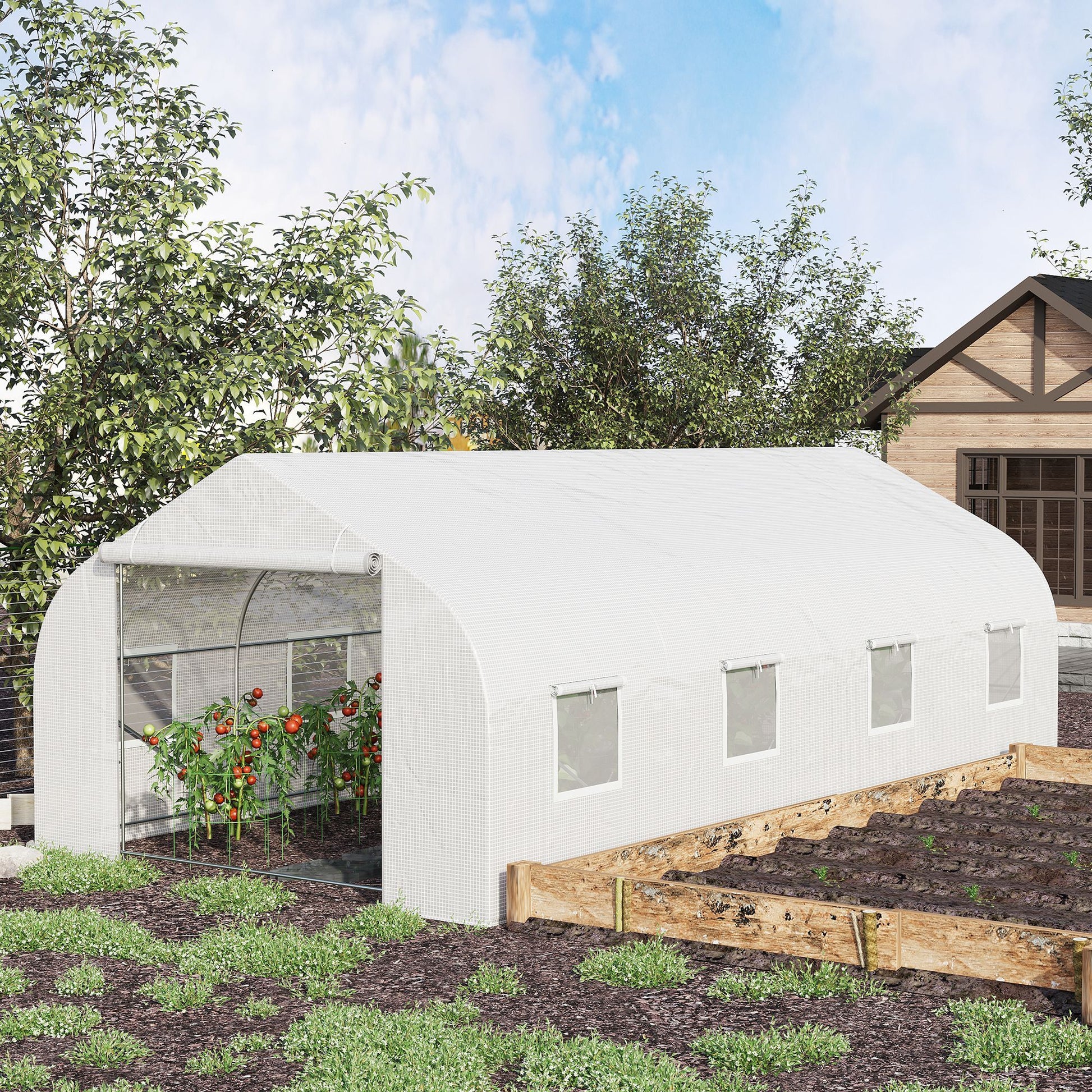 20' x 10' Outdoor Walk-in Greenhouse, Tunnel Green House with Roll-up Windows, Zippered Door, PE Cover, Heavy Duty Steel Frame, White