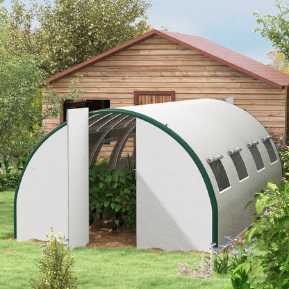 20' x 10' Polytunnel Greenhouse, Galvanized Steel Frame, PE Cover, Hinged Door