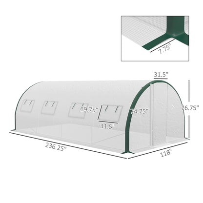 20' x 10' Polytunnel Greenhouse, Galvanized Steel Frame, PE Cover, Hinged Door