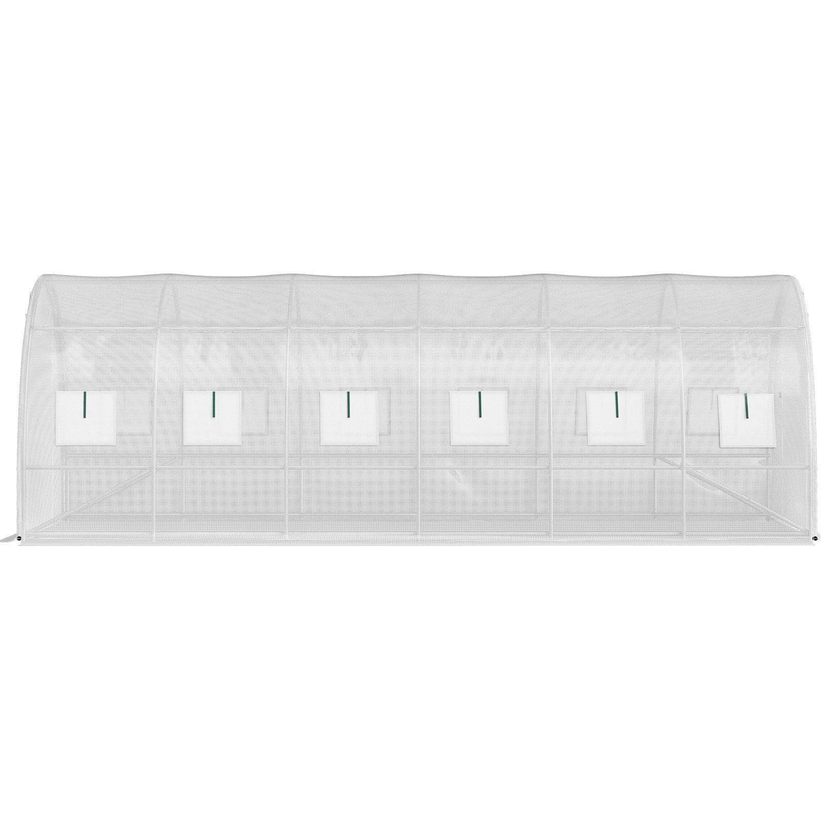 20' x 10' Tunnel Greenhouse, Heavy-Duty & Weatherproof Design