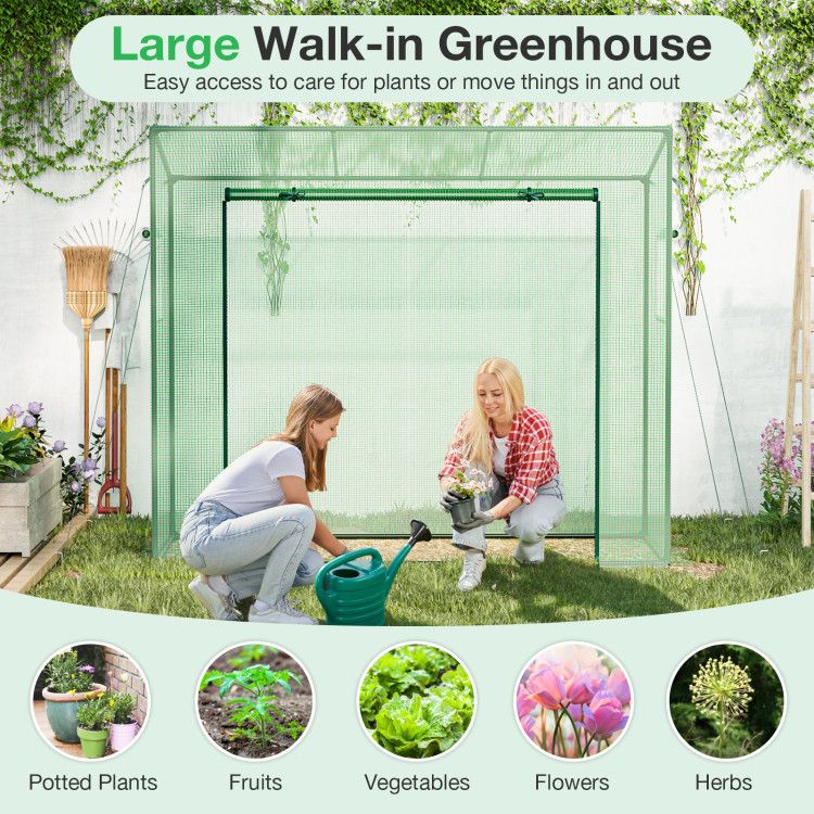6.5' x 2.5' Greenhouse, Durable PE Cover & Ventilated Design for Year-Round Plant Growth