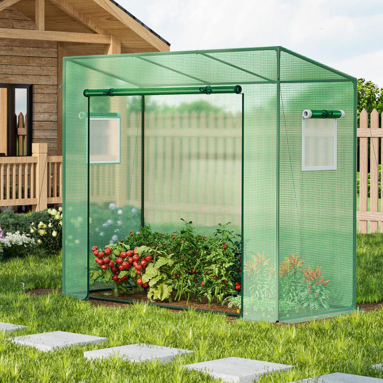 6.5' x 2.5' Greenhouse, Durable PE Cover & Ventilated Design for Year-Round Plant Growth