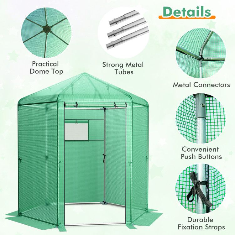 7' x 6' Hexagonal Walk-In Greenhouse, Dome Top, PE Cover, Roll-Up Door, Metal Frame