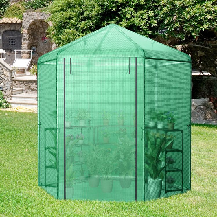 7' x 6' Hexagonal Walk-In Greenhouse, Dome Top, PE Cover, Roll-Up Door, Metal Frame