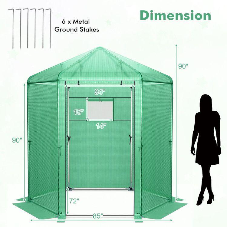 7' x 6' Hexagonal Walk-In Greenhouse, Dome Top, PE Cover, Roll-Up Door, Metal Frame